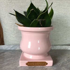 “Please don’t die” planter